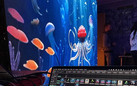 Meta Rhein Main Chaos Days 2024